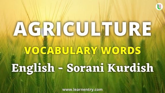 Agriculture vocabulary words in Sorani kurdish and English