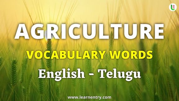 Agriculture vocabulary words in Telugu and English