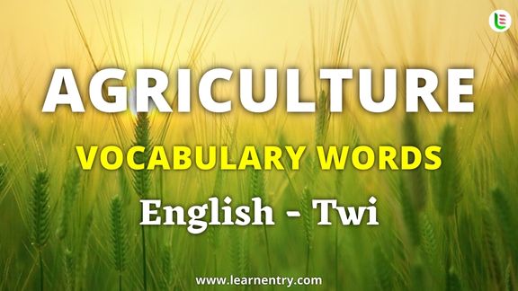 Agriculture vocabulary words in Twi and English