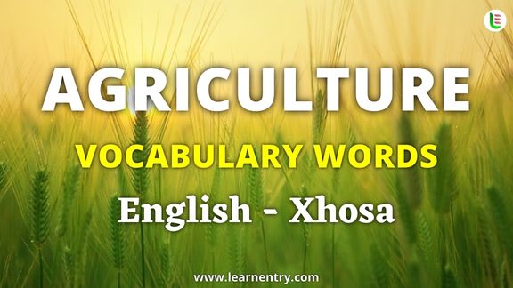 Agriculture vocabulary words in Xhosa and English