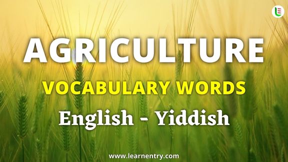 Agriculture vocabulary words in Yiddish and English