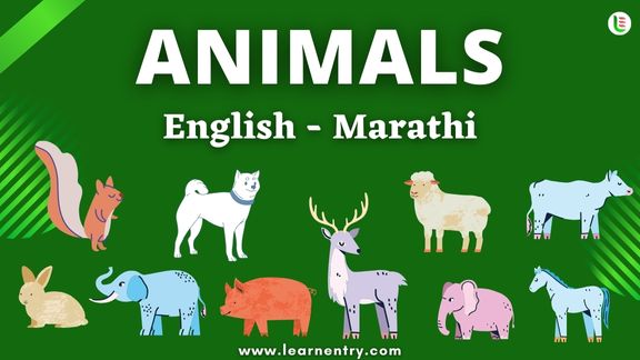 Animals names in Marathi and English - Common Marathi Vocabulary