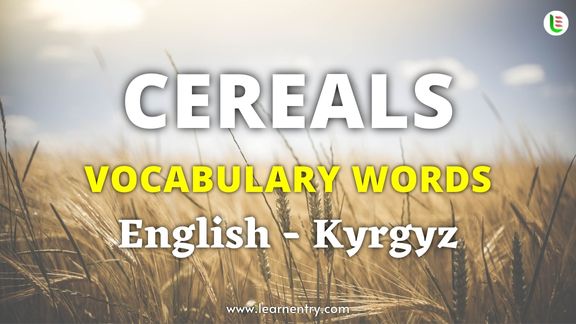 Cereals names in Kyrgyz and English - Common Kyrgyz Vocabulary