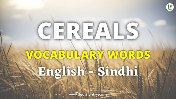 Cereals names in Sindhi and English - Common Sindhi Vocabulary