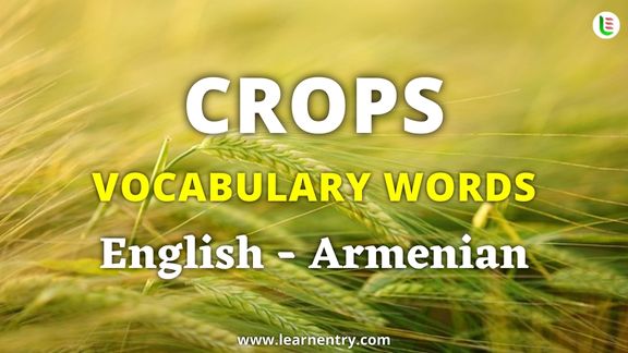 Crops vocabulary words in Armenian and English - Common Armenian Vocabulary