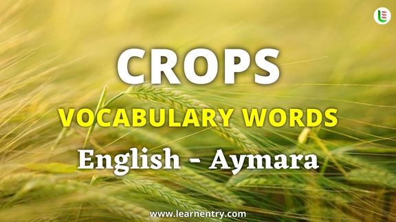 Crops vocabulary words in Aymara and English - Common Aymara Vocabulary