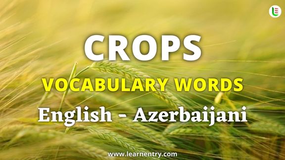 Crops vocabulary words in Azerbaijani and English - Common Azerbaijani Vocabulary