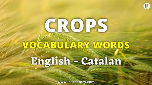 Crops vocabulary words in Catalan and English - Common Catalan Vocabulary