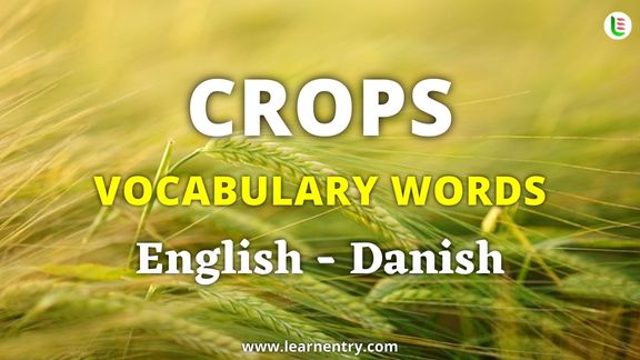 Crops vocabulary words in Danish and English - Common Danish Vocabulary