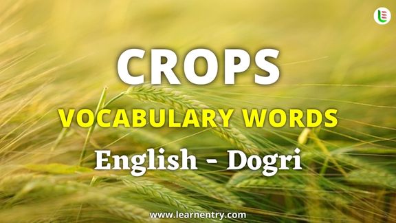 Crops vocabulary words in Dogri and English - Common Dogri Vocabulary