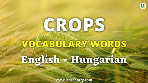 Crops vocabulary words in Hungarian and English - Common Hungarian Vocabulary