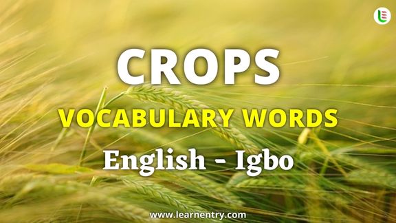 Crops vocabulary words in Igbo and English - Common Igbo Vocabulary