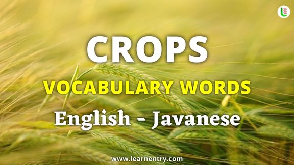 Crops vocabulary words in Javanese and English