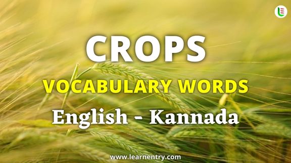 Crops vocabulary words in Kannada and English