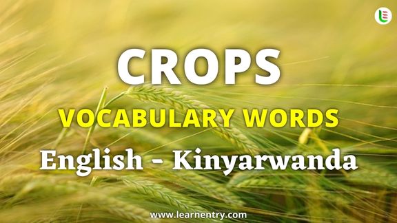 Crops vocabulary words in Kinyarwanda and English - Common Kinyarwanda Vocabulary