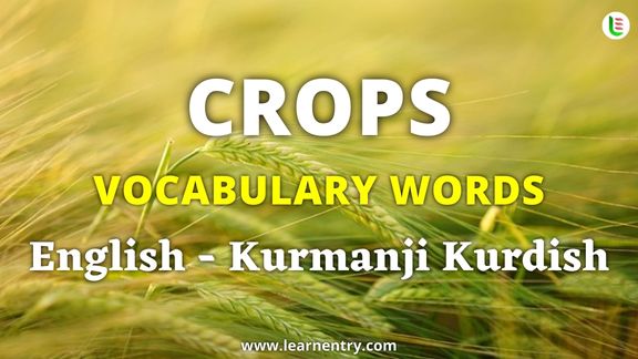 Crops vocabulary words in Kurmanji kurdish and English - Common Kurmanji kurdish Vocabulary