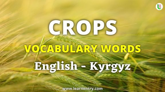 Crops vocabulary words in Kyrgyz and English - Common Kyrgyz Vocabulary