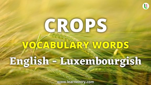 Crops vocabulary words in Luxembourgish and English - Common Luxembourgish Vocabulary