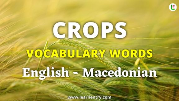 Crops vocabulary words in Macedonian and English