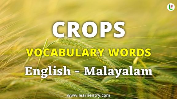 Crops vocabulary words in Malayalam and English - Common Malayalam Vocabulary