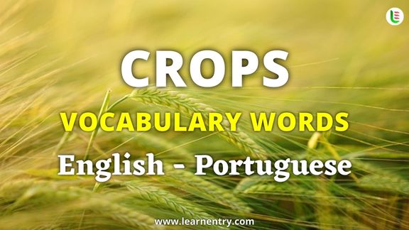 Crops vocabulary words in Portuguese and English - Common Portuguese Vocabulary