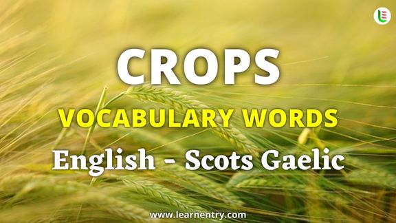 Crops vocabulary words in Scots gaelic and English - Common Scots gaelic Vocabulary