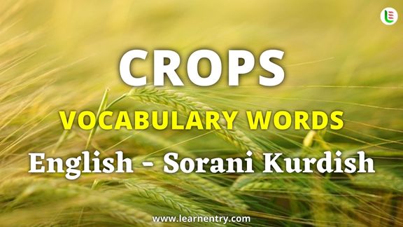 Crops vocabulary words in Sorani kurdish and English