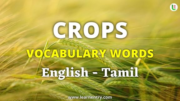 Crops vocabulary words in Tamil and English