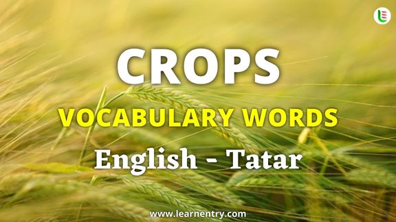 Crops vocabulary words in Tatar and English - Common Tatar Vocabulary