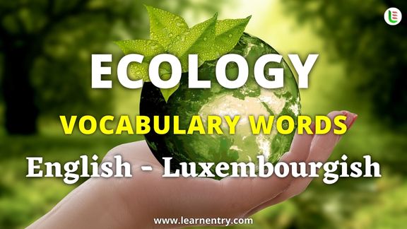 Ecology vocabulary words in Luxembourgish and English - Common Luxembourgish Vocabulary