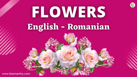 Flower names in Romanian and English - Common Romanian Vocabulary