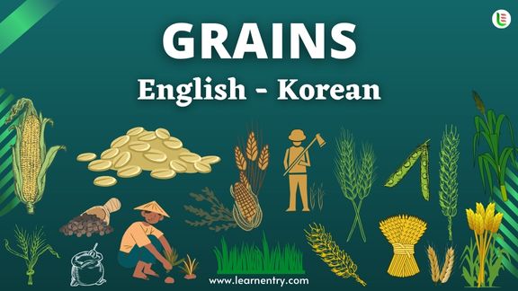 Grains names in Korean and English - Common Korean Vocabulary