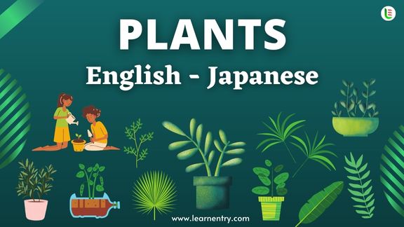 Plant names in Japanese and English - Common Japanese Vocabulary