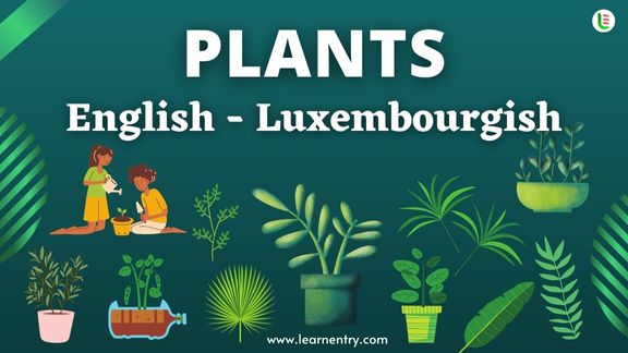 Plant names in Luxembourgish and English - Common Luxembourgish Vocabulary