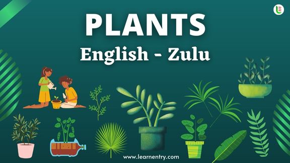 Plant names in Zulu and English - Common Zulu Vocabulary